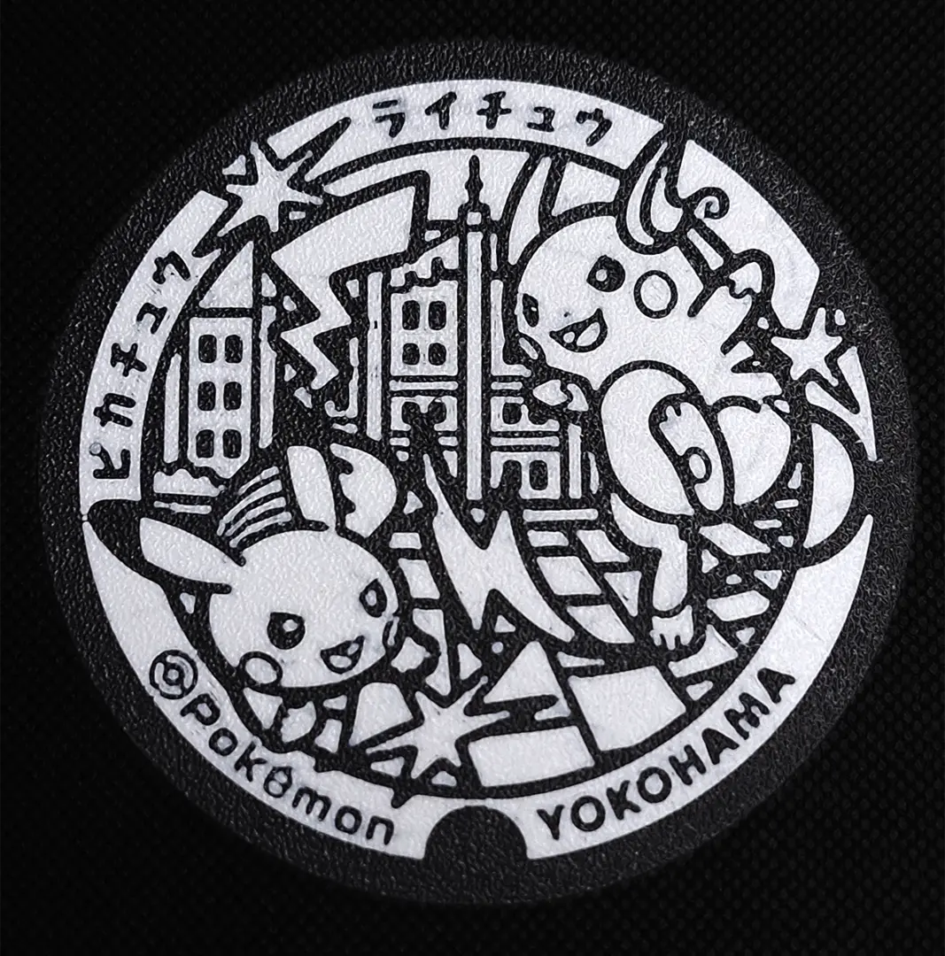 Raichu and Pikachu Pokemon Coaster