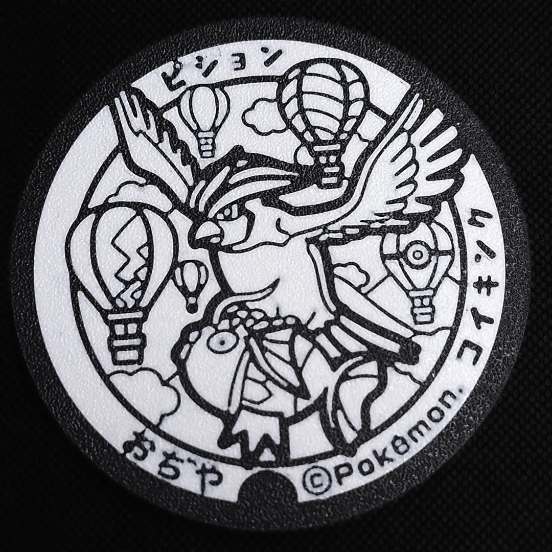 Pidgeot and Magikarp Pokemon Coaster