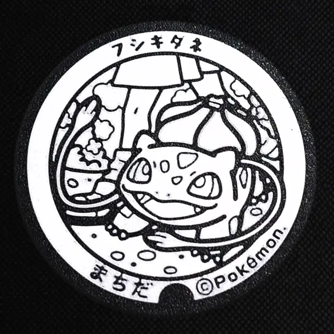 Bulbasaur Pokemon Coaster