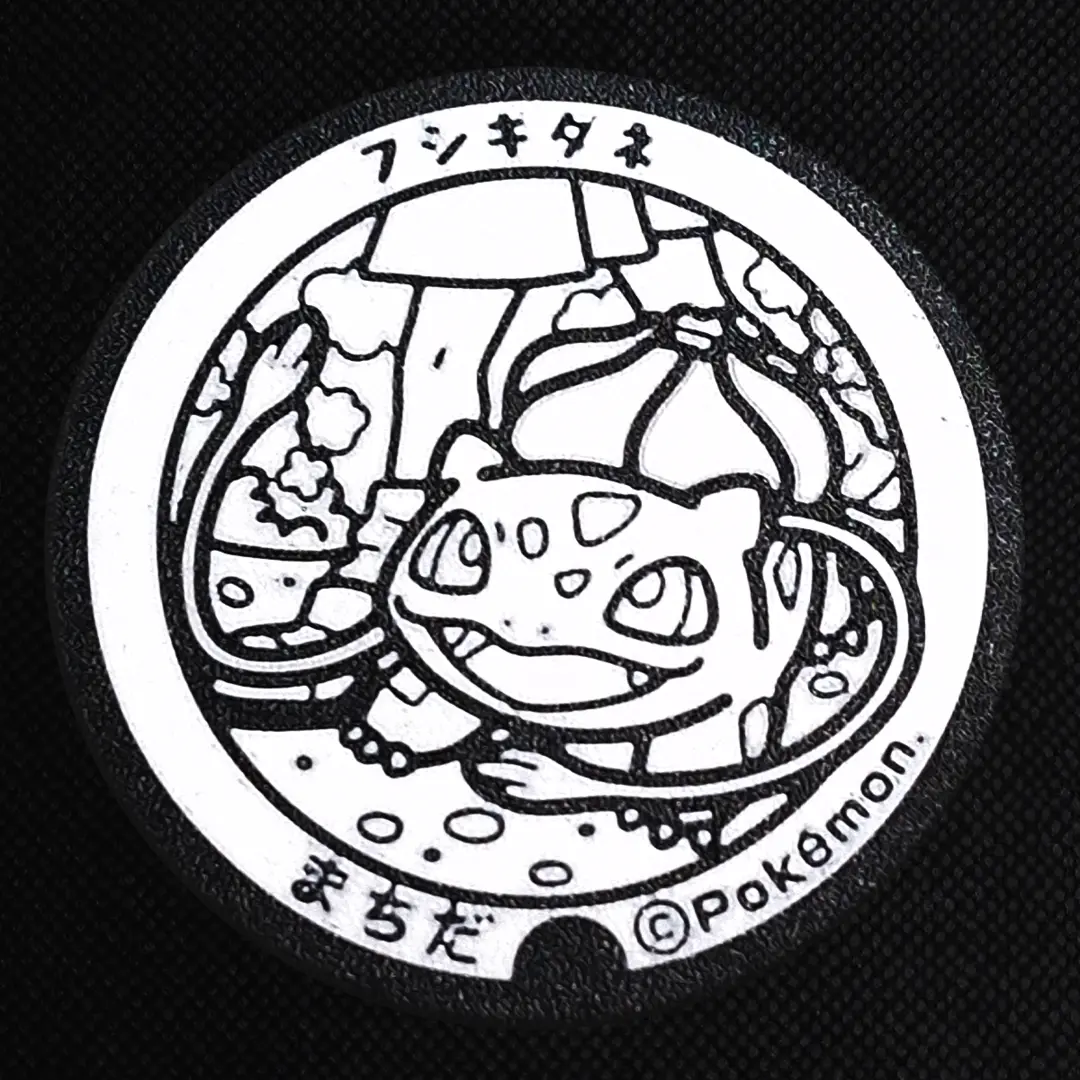 Bulbasaur Pokemon Coaster