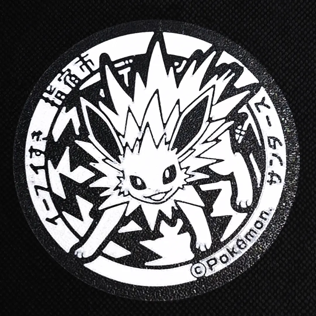 Jolteon Pokemon Coaster