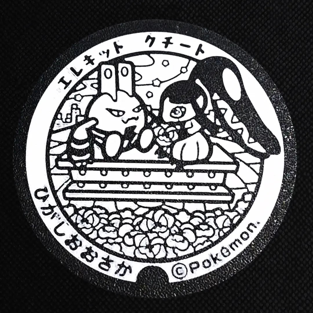 Mawile and Elekid Pokemon Coaster