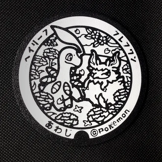 Bayleef and Aromatisse Pokemon Coaster