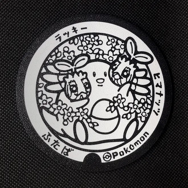 Chansey and Sunkern Pokemon Coaster