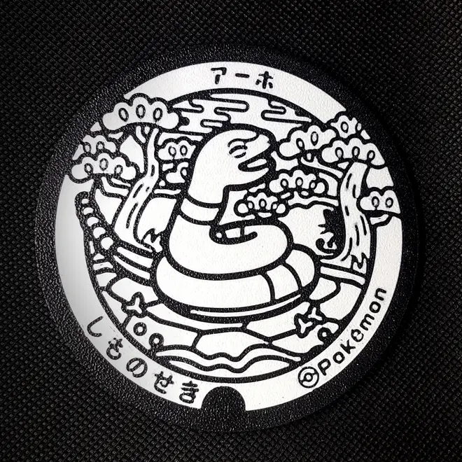Ekans Pokemon Coaster